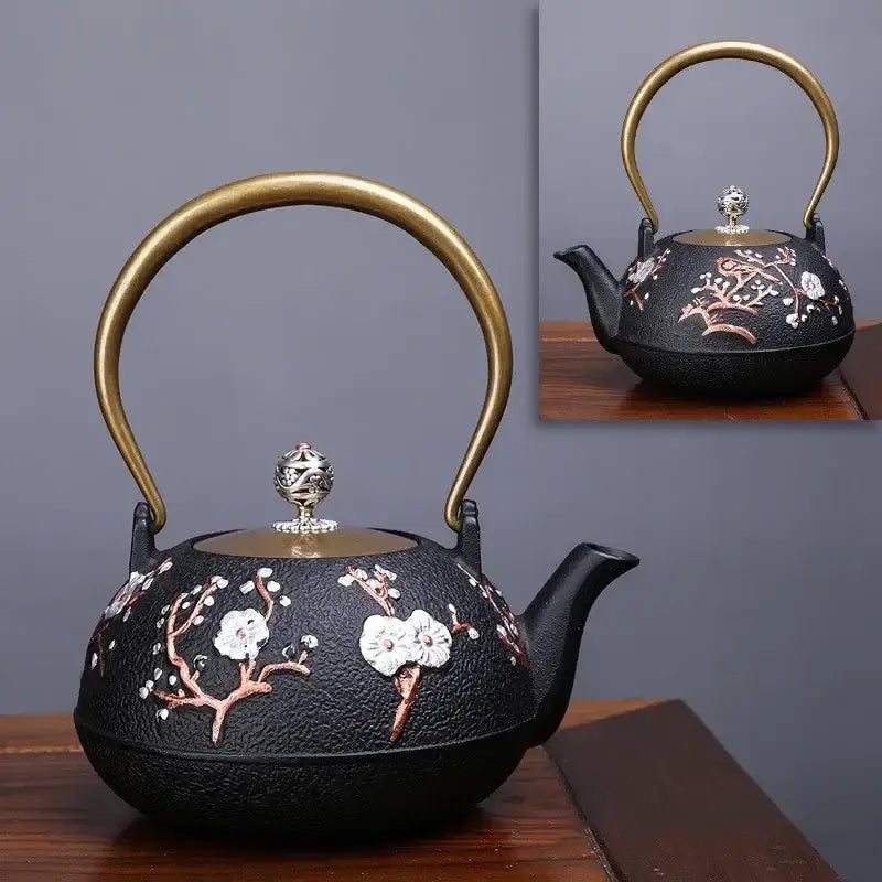 Cast iron teapot with handle and spout