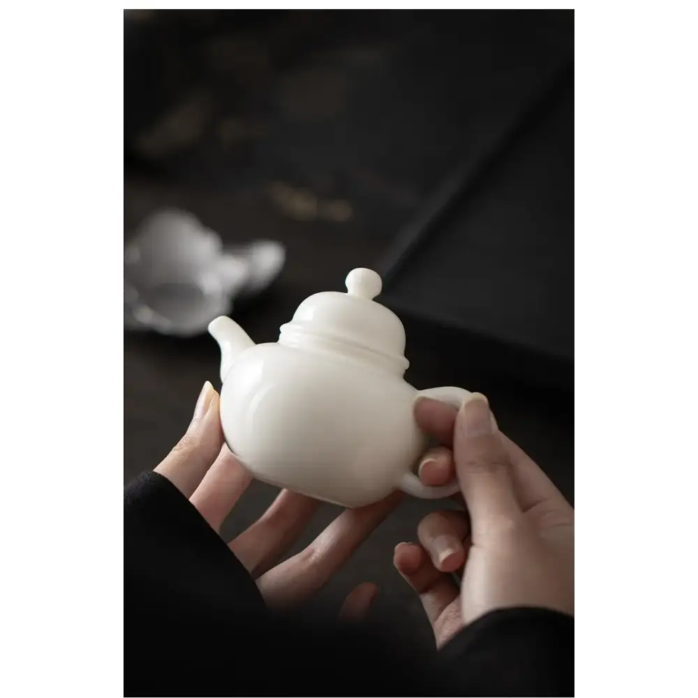 Small white porcelain teapot for one